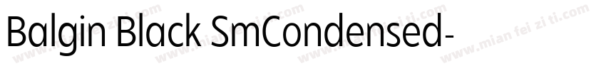 Balgin Black SmCondensed字体转换
